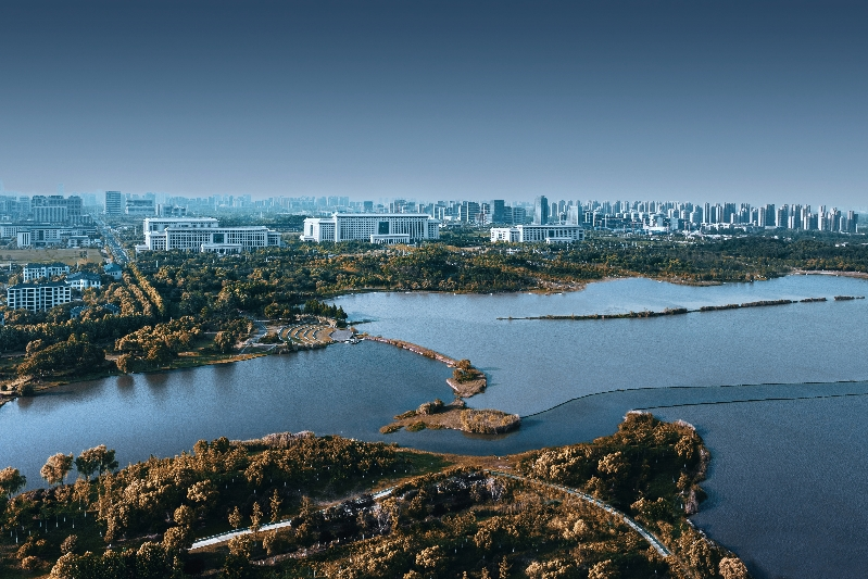 限价取消后首场土拍，地价创新高！我们都小看了合肥的潜力