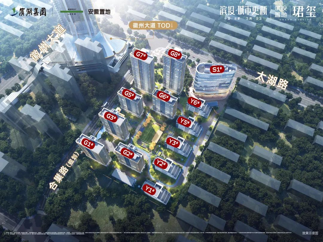 新政后，滨投置地珺玺迎来抢房潮！首开热销超3.5亿...