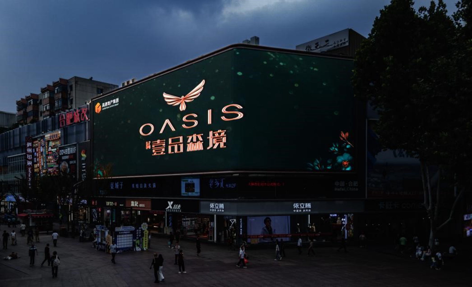 全合肥朝上看！高速地产首个翡翠鸟IP首秀登场