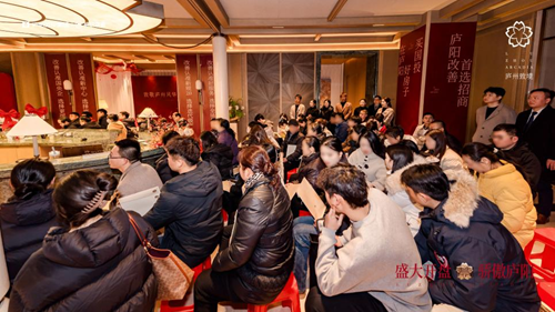 庐州致境1/31盛大首开，主城标杆，热映庐阳，庐阳改善最终解！